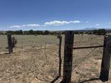 169 Tyrone Hills - Photo 14