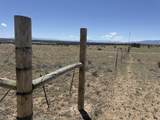 169 Tyrone Hills - Photo 15
