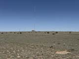 169 Tyrone Hills - Photo 17