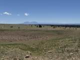 169 Tyrone Hills - Photo 4
