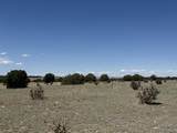 169 Tyrone Hills - Photo 8