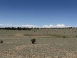 169 Tyrone Hills - Photo 9