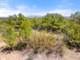 TBD Columbine Circle - Photo 14