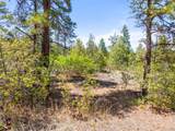TBD Columbine Circle - Photo 18