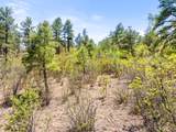 TBD Columbine Circle - Photo 19