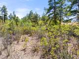 TBD Columbine Circle - Photo 20