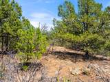 TBD Columbine Circle - Photo 21