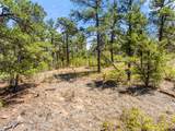 TBD Columbine Circle - Photo 22
