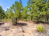 TBD Columbine Circle - Photo 23