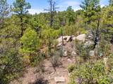 TBD Columbine Circle - Photo 24