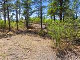 TBD Columbine Circle - Photo 25