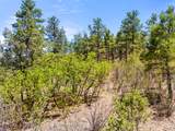 TBD Columbine Circle - Photo 26