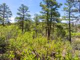TBD Columbine Circle - Photo 27