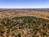 TBD Old Wagon Road Pkwy - Photo 10