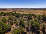 TBD Old Wagon Road Pkwy - Photo 11