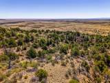 TBD Old Wagon Road Pkwy - Photo 12