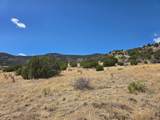TBD Old Wagon Road Pkwy - Photo 13