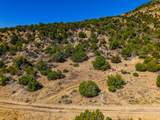 TBD Old Wagon Road Pkwy - Photo 14