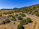 TBD Old Wagon Road Pkwy - Photo 15
