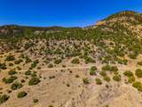 TBD Old Wagon Road Pkwy - Photo 16