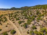 TBD Old Wagon Road Pkwy - Photo 17
