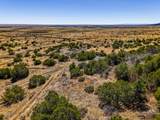 TBD Old Wagon Road Pkwy - Photo 19