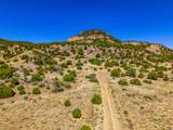 TBD Old Wagon Road Pkwy - Photo 21