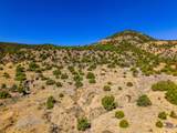 TBD Old Wagon Road Pkwy - Photo 4