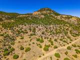 TBD Old Wagon Road Pkwy - Photo 5