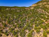 TBD Old Wagon Road Pkwy - Photo 6