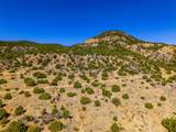 TBD Old Wagon Road Pkwy - Photo 7