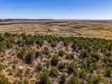 TBD Old Wagon Road Pkwy - Photo 8