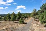 17680 Whispering Pines Trail - Photo 51