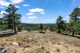 17680 Whispering Pines Trail - Photo 55