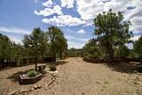 22750 County Road 46 - Photo 47