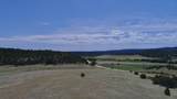 22750 County Road 46 - Photo 52