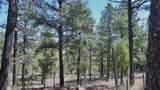 22750 County Road 46 - Photo 57