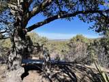 8250 La Belle Trail - Photo 33