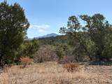 8250 La Belle Trail - Photo 35