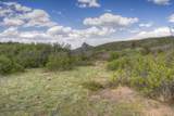  Spanish Peaks Trail - Photo 22