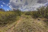  Spanish Peaks Trail - Photo 25