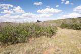 Spanish Peaks Trail - Photo 27