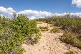  Spanish Peaks Trail - Photo 30
