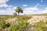  Spanish Peaks Trail - Photo 31