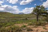  Spanish Peaks Trail - Photo 37