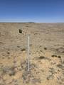 tbd County Road 51 - Photo 1