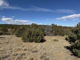 Lot 533 Rio Cucharas - Photo 10