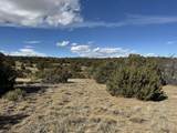 Lot 533 Rio Cucharas - Photo 11
