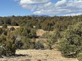 Lot 533 Rio Cucharas - Photo 12
