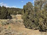 Lot 533 Rio Cucharas - Photo 13